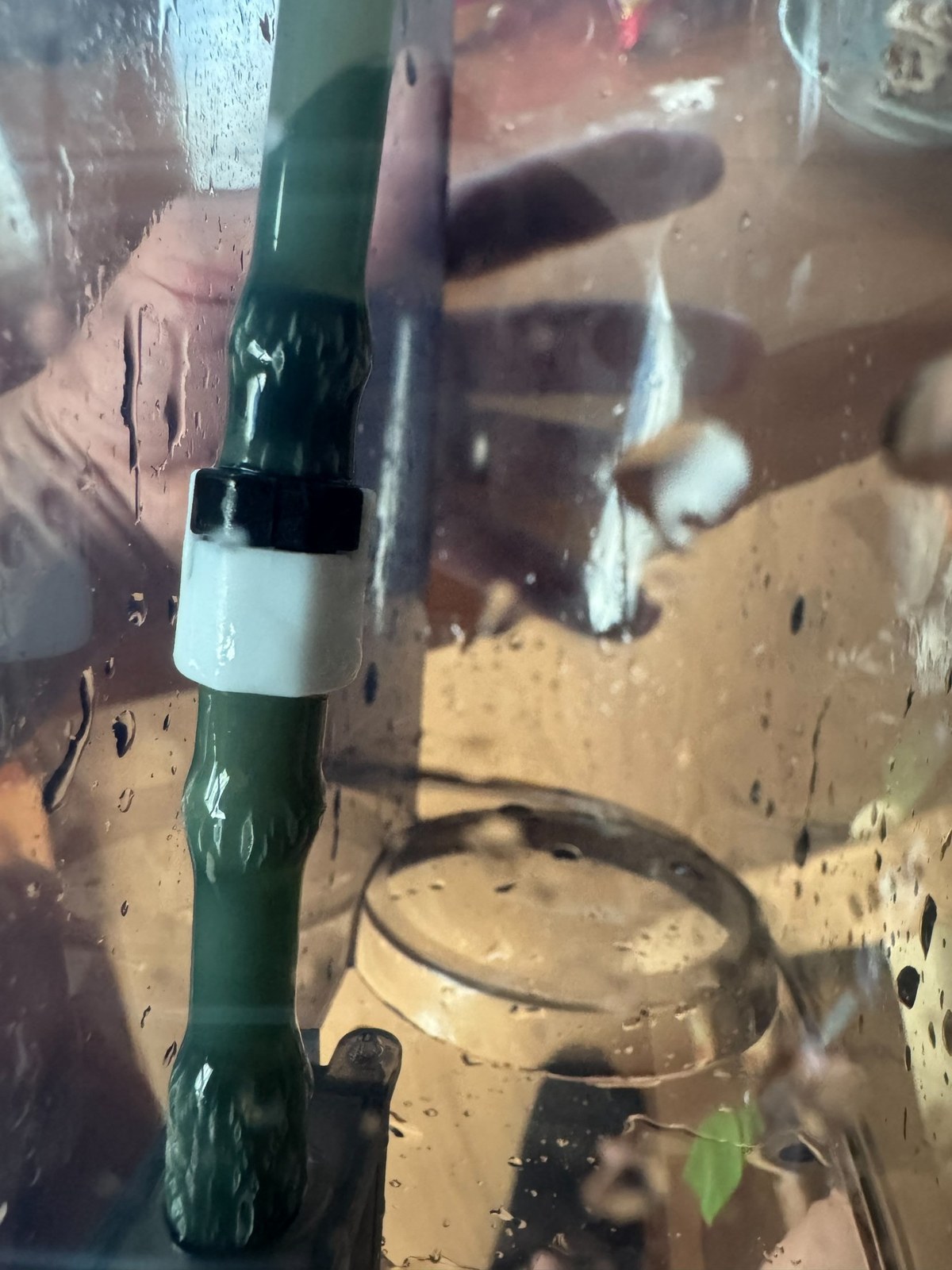 ひびが入って破れた元のホース（緑色）。給水タンク越しに撮った