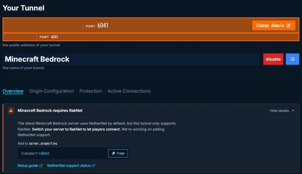 playitの管理画面。Minecraft Bedrock requires RakNet と表示され、transport=raknet を追加するよう案内されている